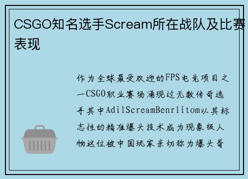 CSGO知名选手Scream所在战队及比赛表现