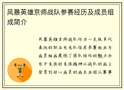 风暴英雄京师战队参赛经历及成员组成简介